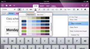 OneNote NoteBook on a student's iPad